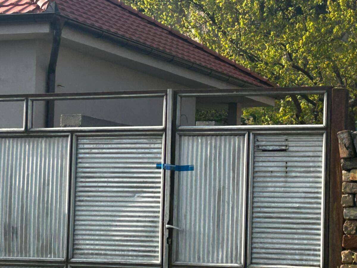 Požar u Titelu (4).jpg