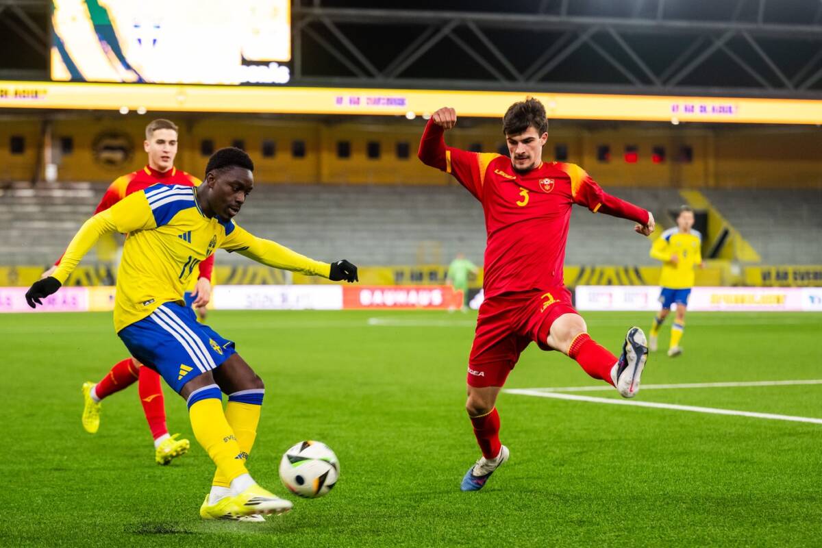 Lazar Maraš na meču Crven Gore i Švedske