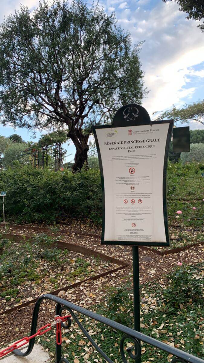 Hotel u kom će se venčati Melina Džinović (5).jpg