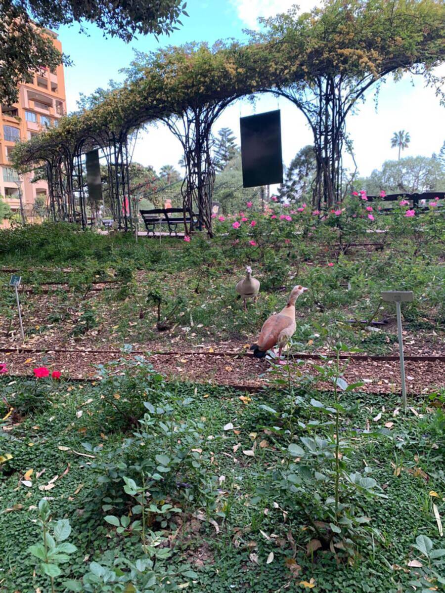 Hotel u kom će se venčati Melina Džinović (6).jpg