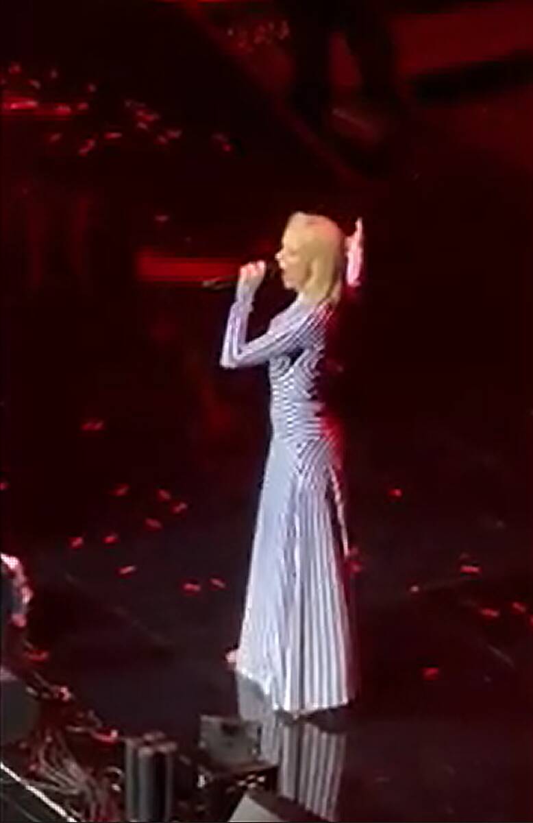 Jelena Rozga na koncertu Jakova Jozinovića (1).png