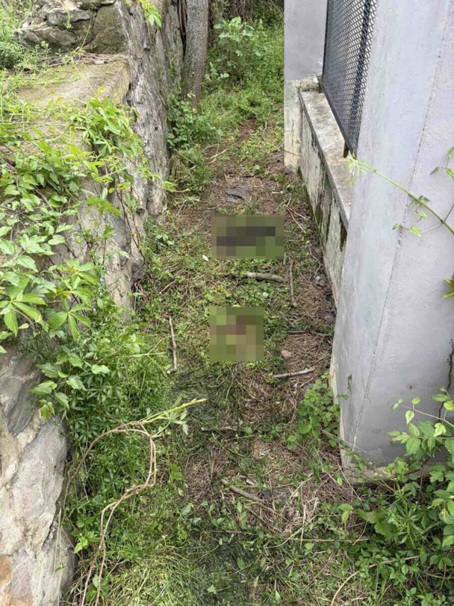 Mesto na kom je pronađeno telo mladića 3.jpg