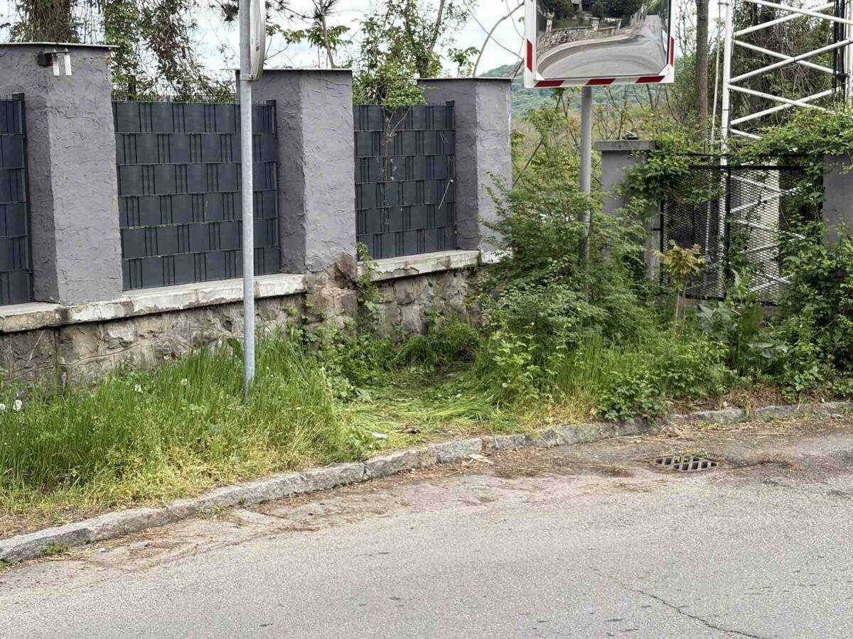 Mesto na kom je pronađeno telo mladića 5.jpg