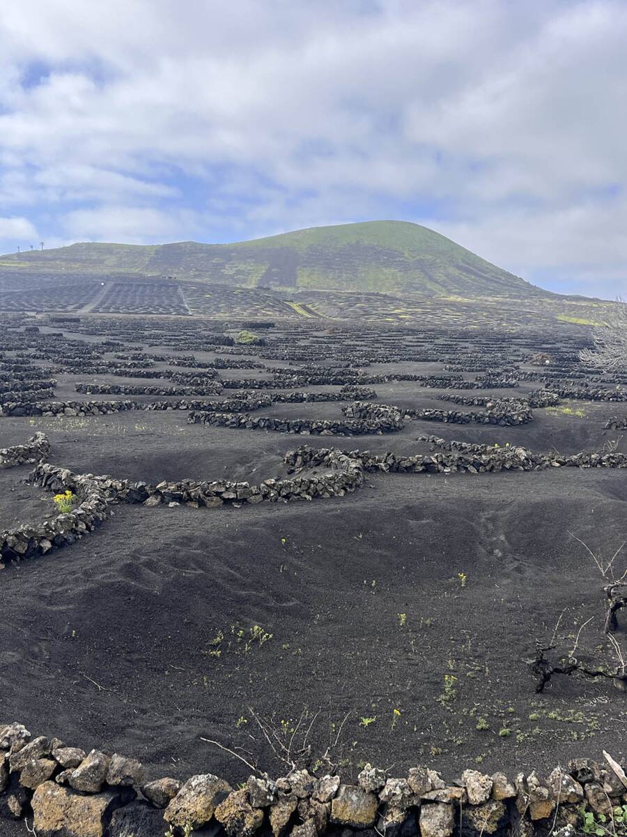 Lanzarote ostrvo (5).jpg