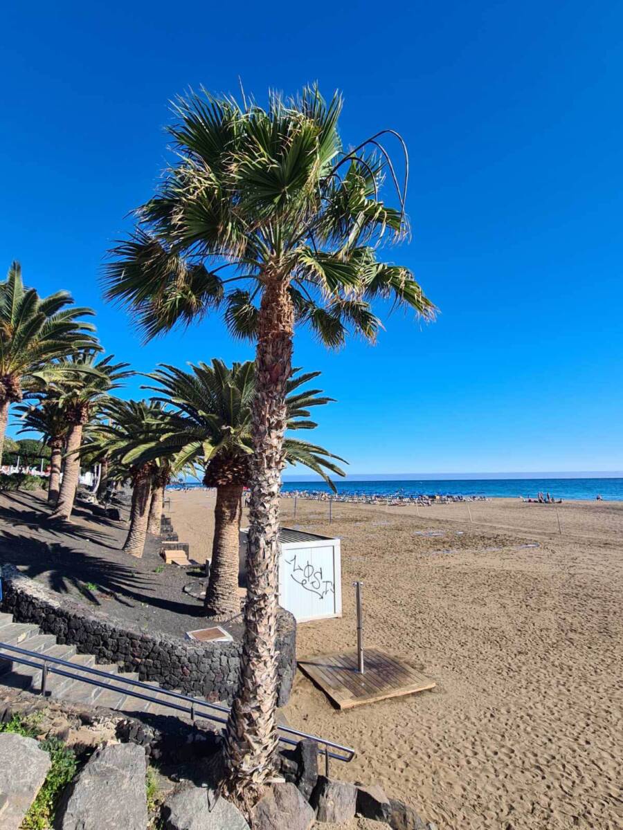 Lanzarote ostrvo (1).jpg