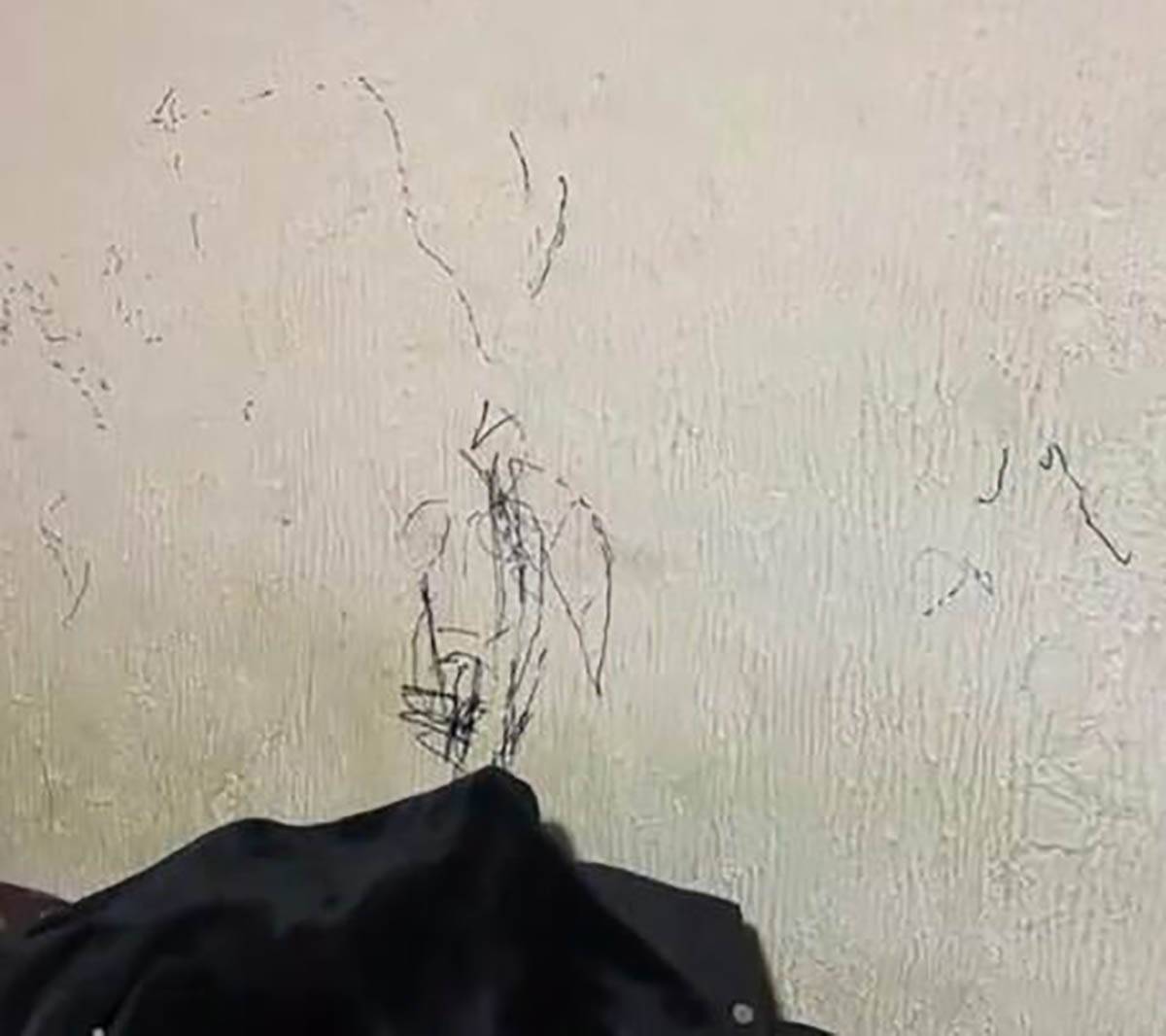 Stanari su potpuno uništili stan u Pančevu koji su iznajmljivali (7).jpg