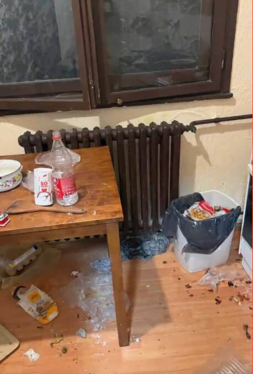 Stanari su potpuno uništili stan u Pančevu koji su iznajmljivali (8).jpg