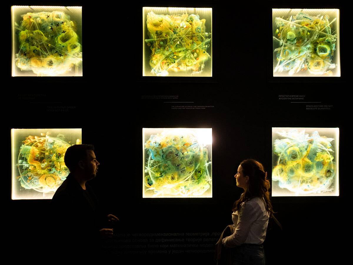 Izložba Mileva Mi smo stena u Muzeju grada Novog Sada (7).jpg