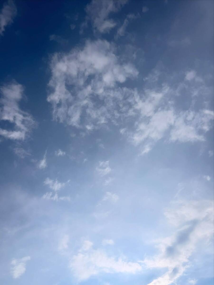 Koraima Tores (8).jpg