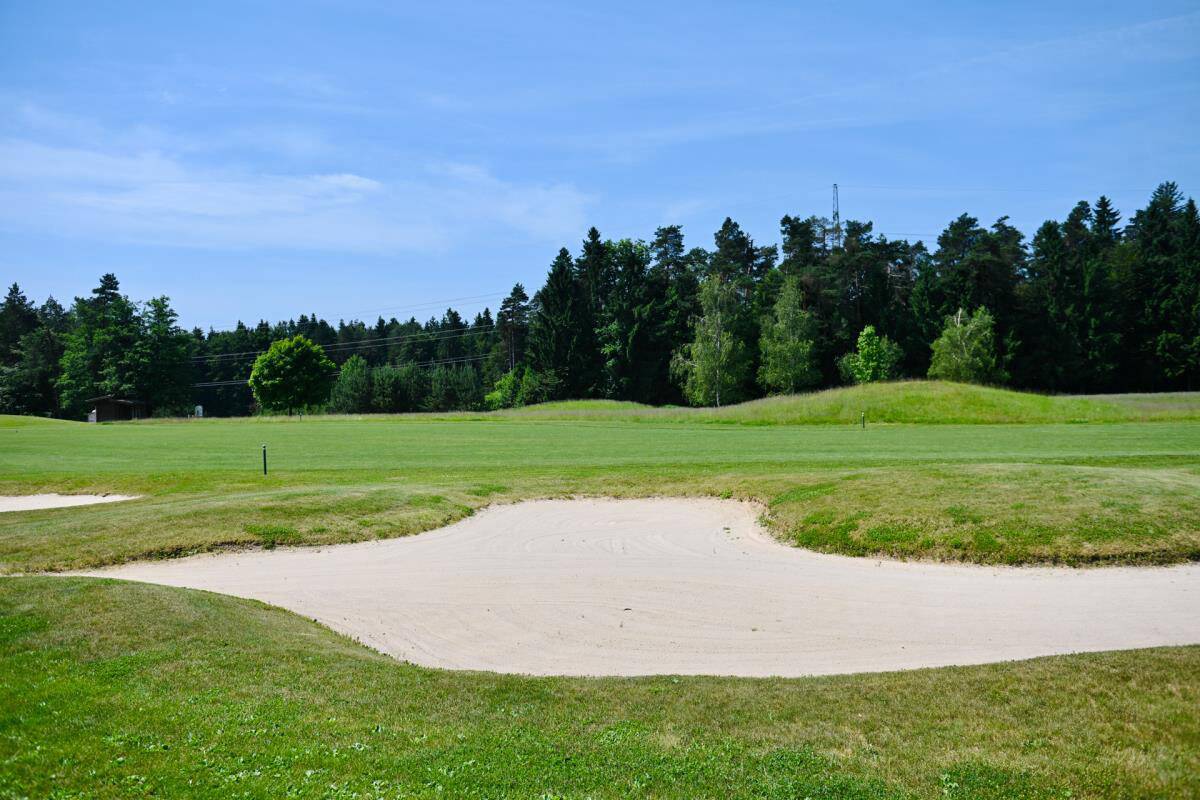 Vila Luke Dončića u Smledniku (1).jpg