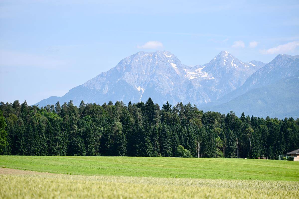 Vila Luke Dončića u Smledniku (5).jpg