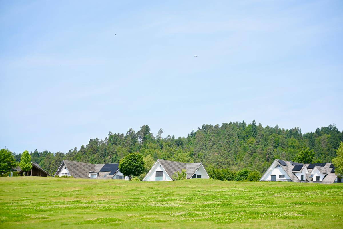 Vila Luke Dončića u Smledniku (7).jpg