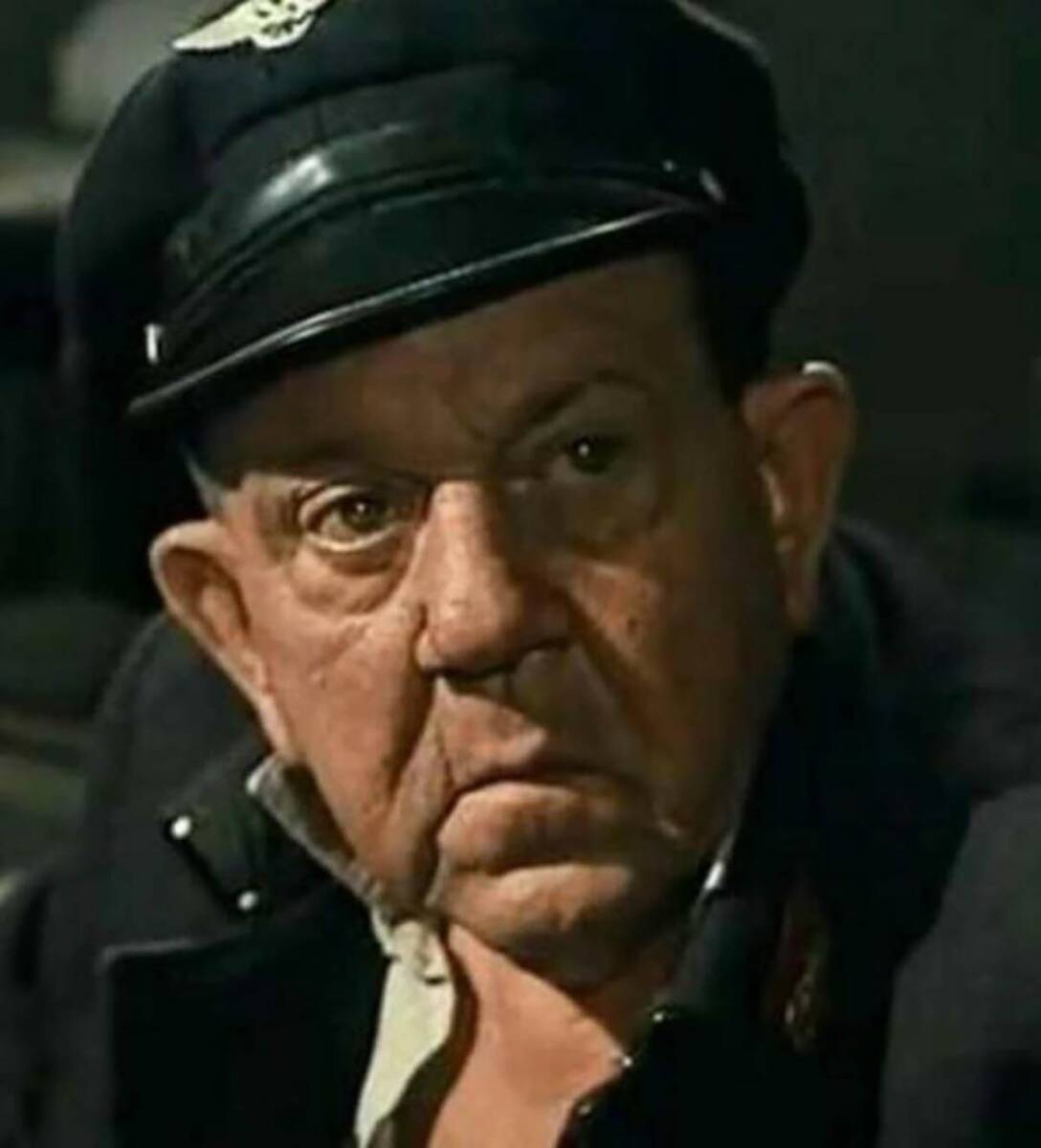 Koji glumac je rođeni brat Pavla Vuisića?