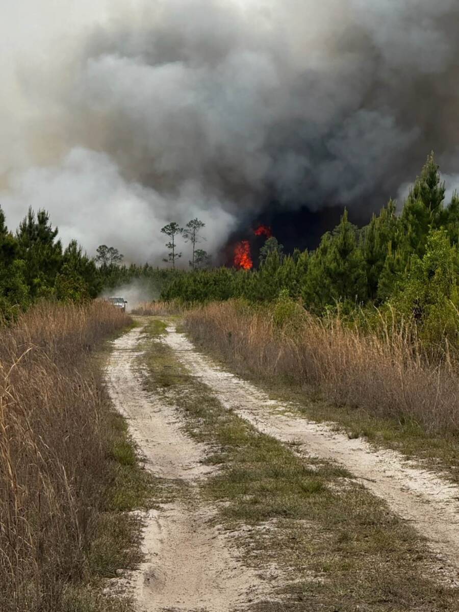 Požar na jugoistoku Džordžije (6).jpg