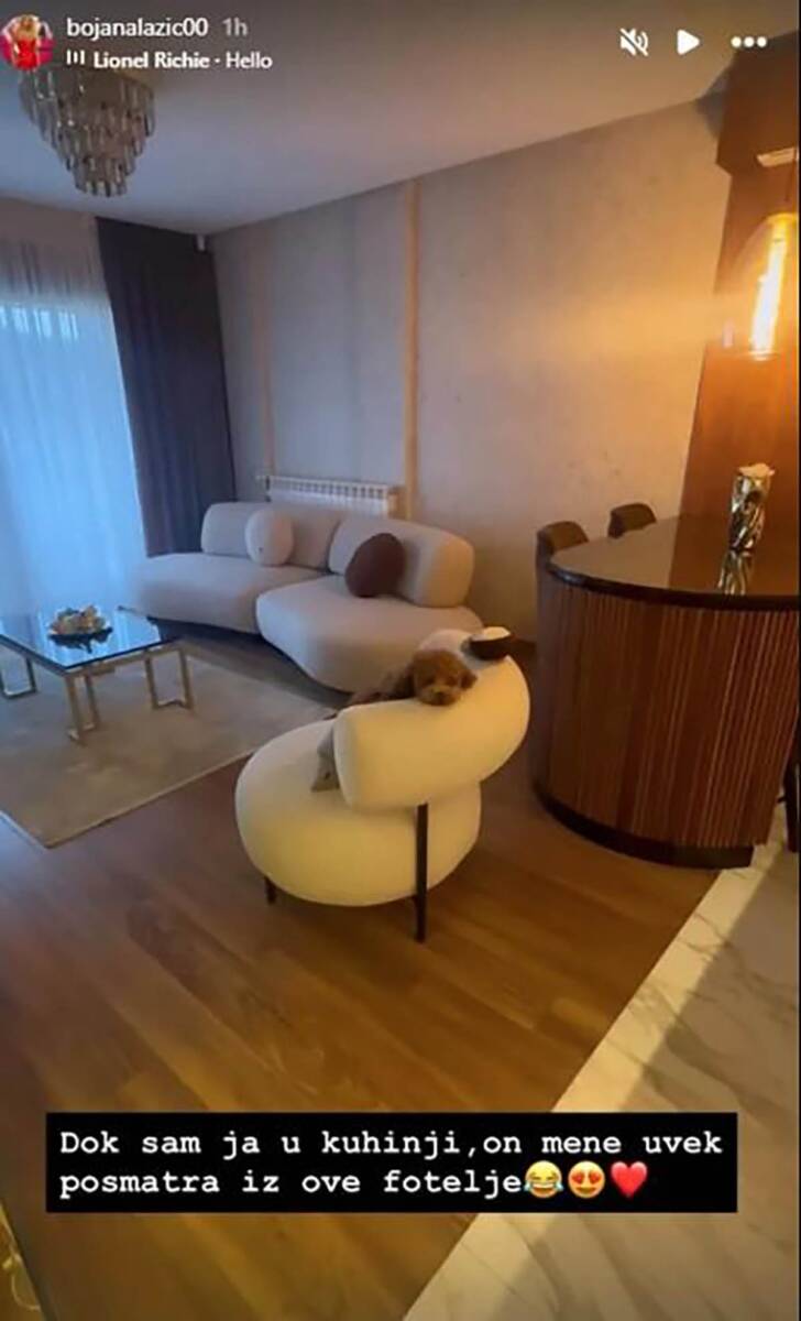 bojana lazić stan (1).jpg