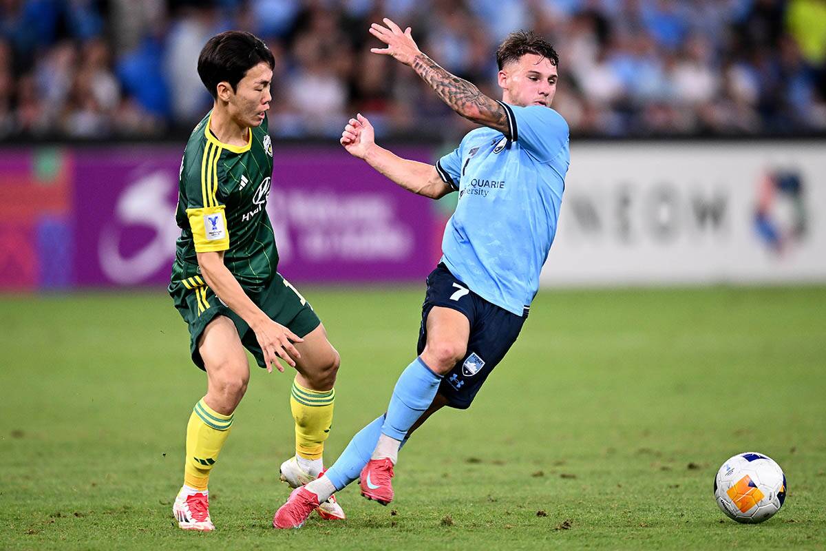 Adrian Segečić 5.jpg