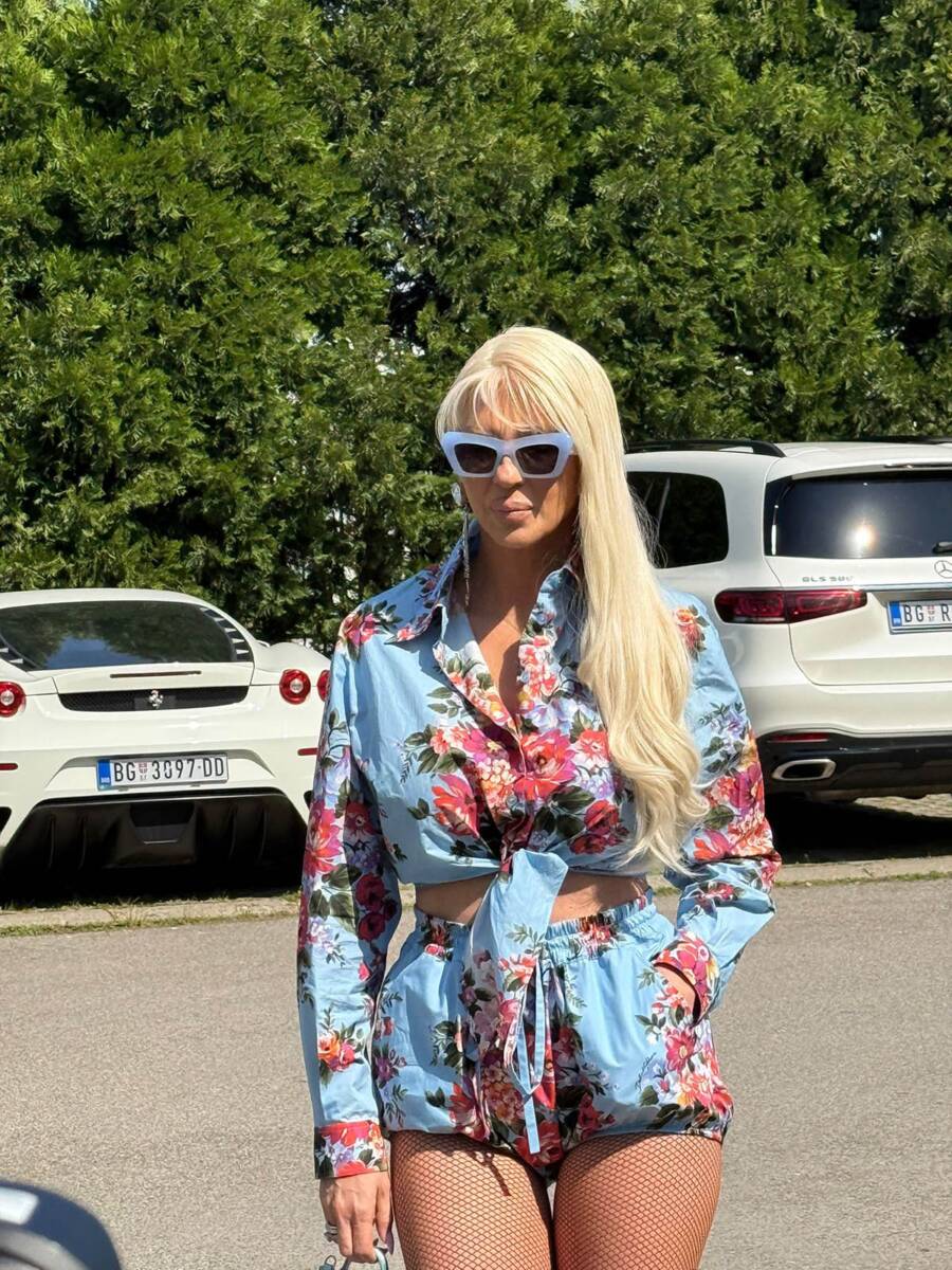 Jelena Karleuša (2).jpg