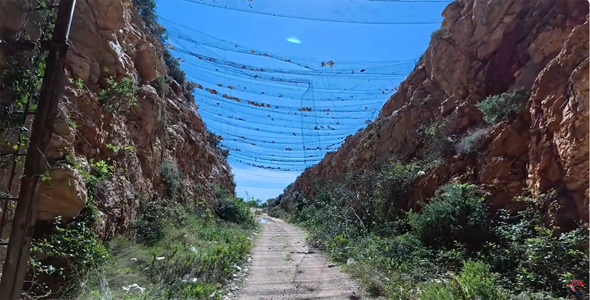 Preživljavanje na Visu (5).png