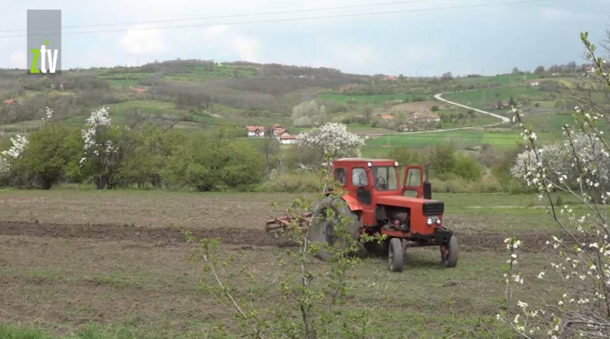 Miloš Stuparević (3).jpg