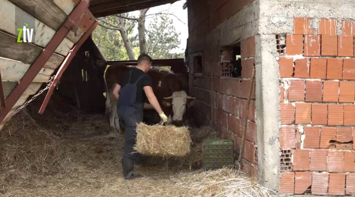 Miloš Stuparević (6).jpg