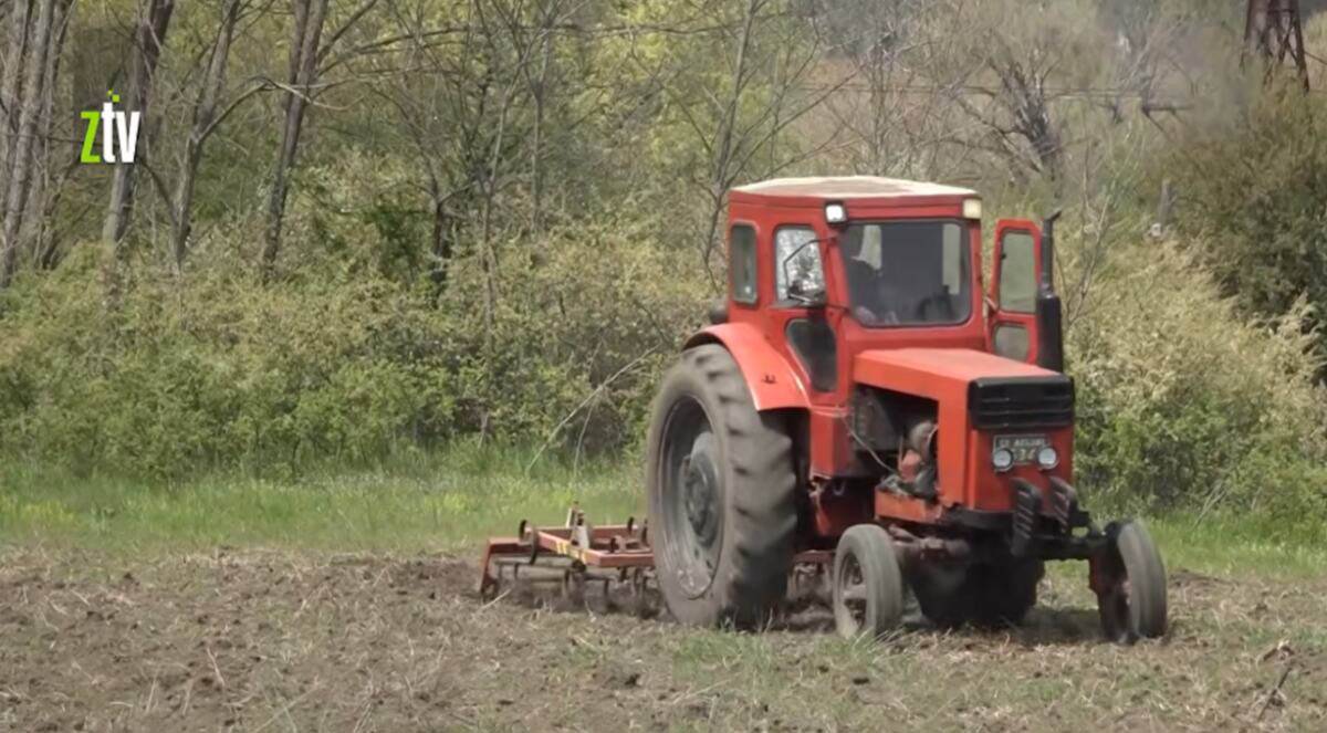 Miloš Stuparević (1).jpg