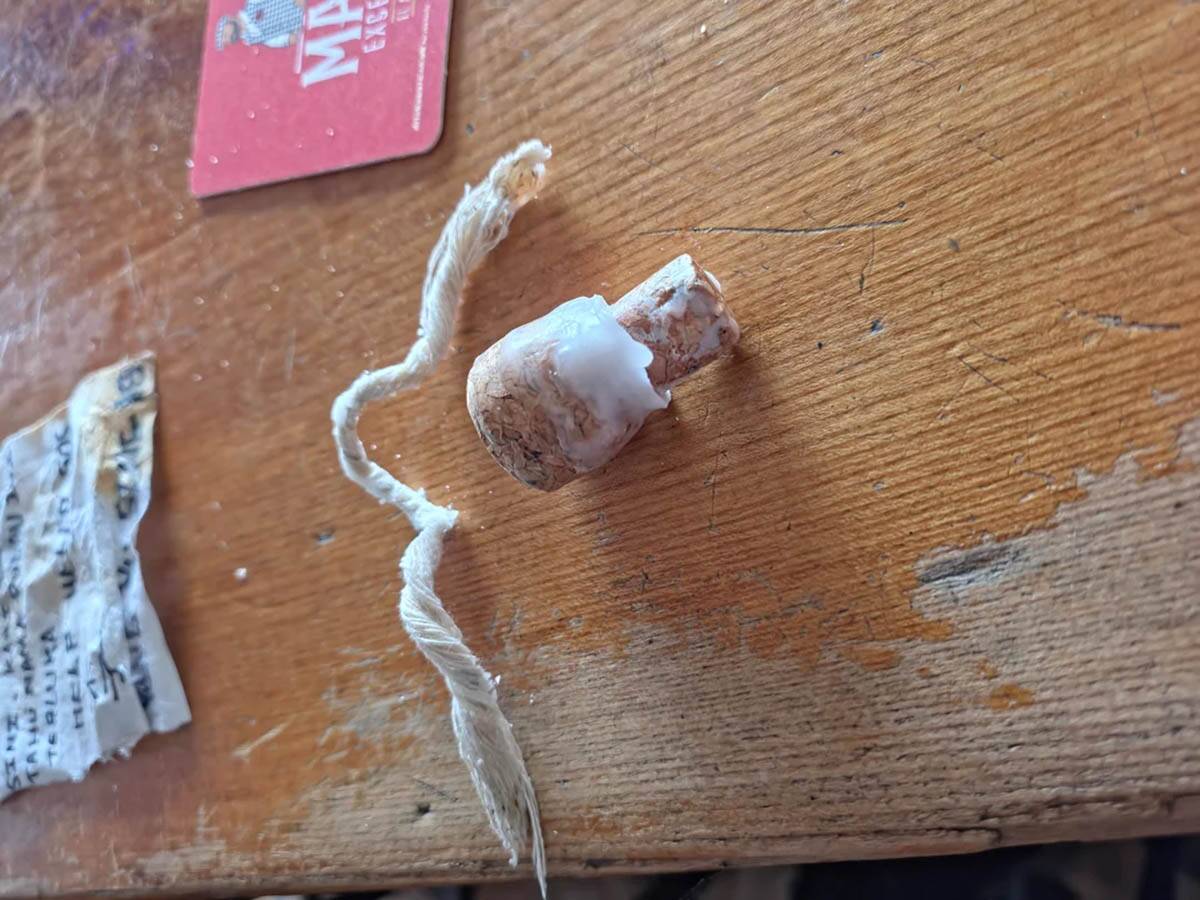 Boca sa porukom na plaži