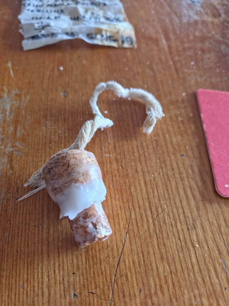 Boca sa porukom na plaži