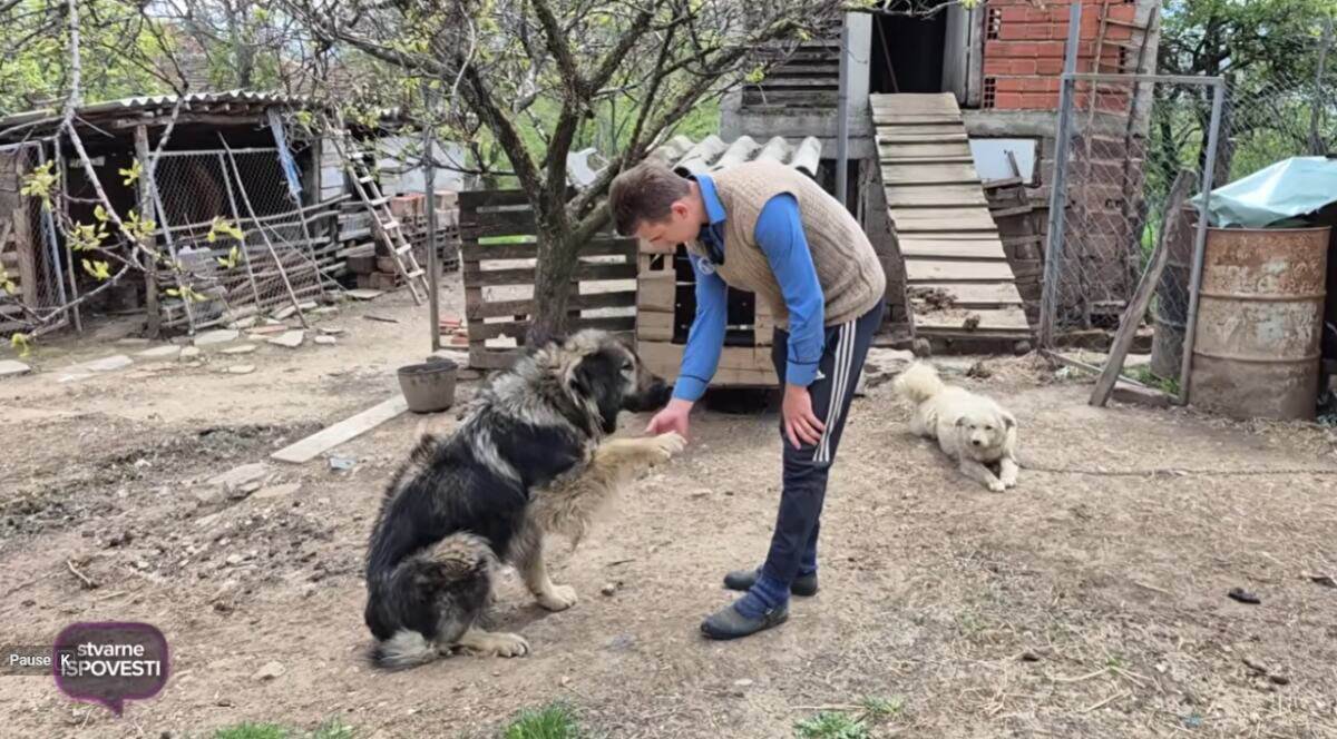 Anđelo može u Pariz kad mu se ćefne, ali džabe tamo nema Malog Krčimira  (6).jpg