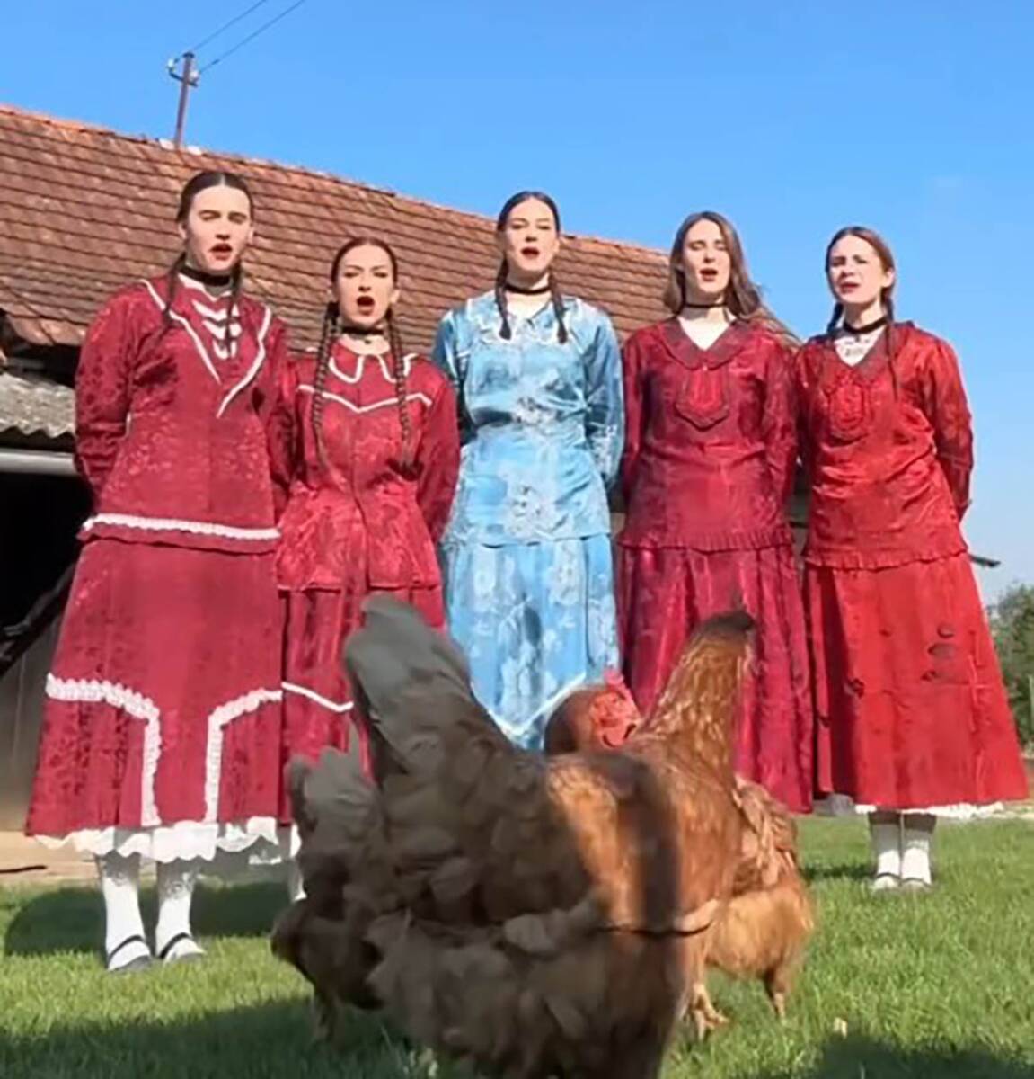 grupa Lelek (5).jpg