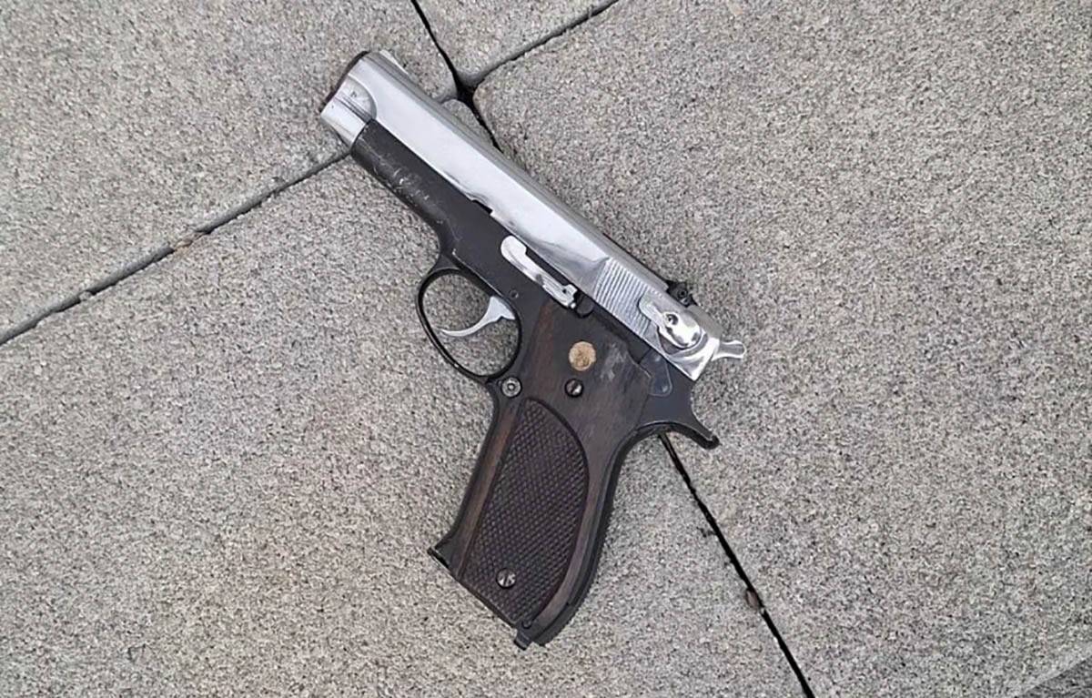 Srđan B (2).jpg