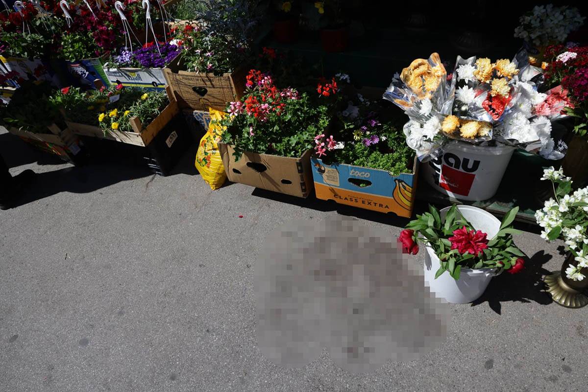 Mesto na kome je Nemanja F. izboden (4).jpg