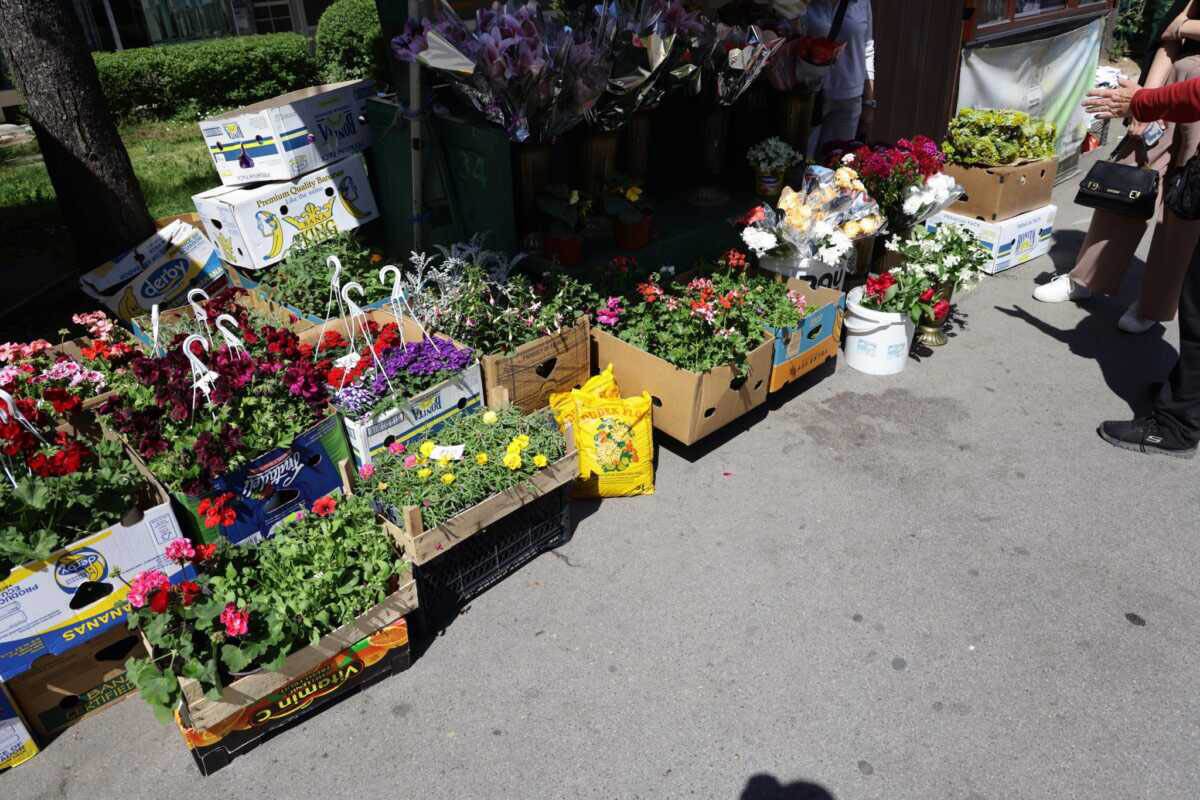 tragedija na kanarevom brdu (4).jpg