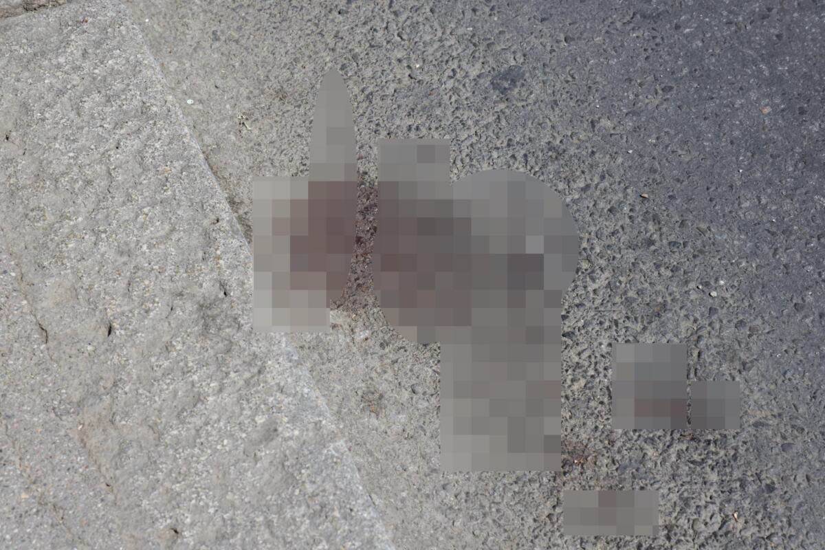 tragedija na kanarevom brdu (5).jpg