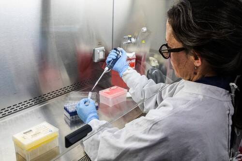 Hantavirus