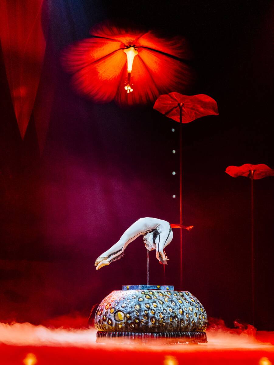 Cirque De Soleil (3).jpg