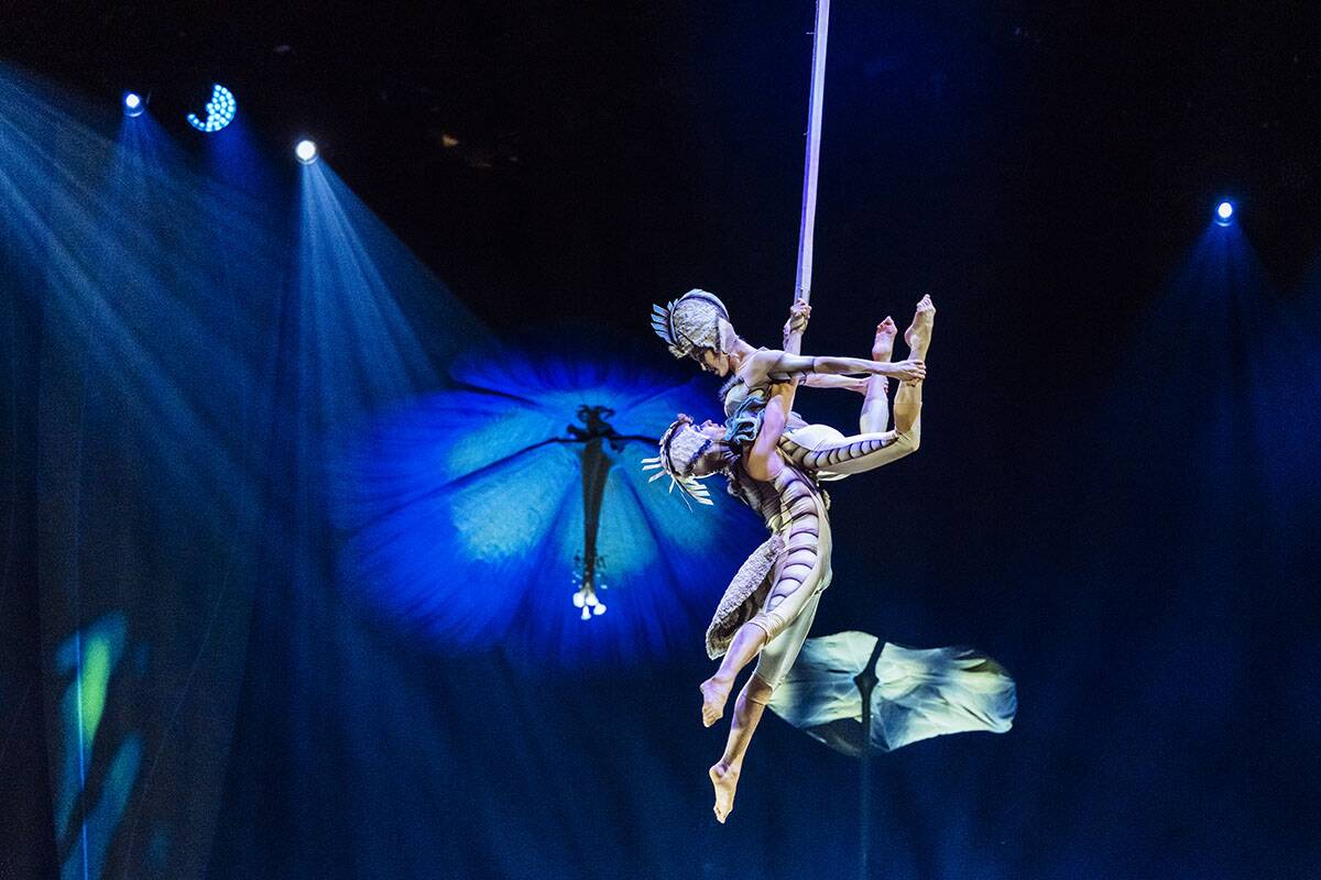 Cirque De Soleil (8).jpg