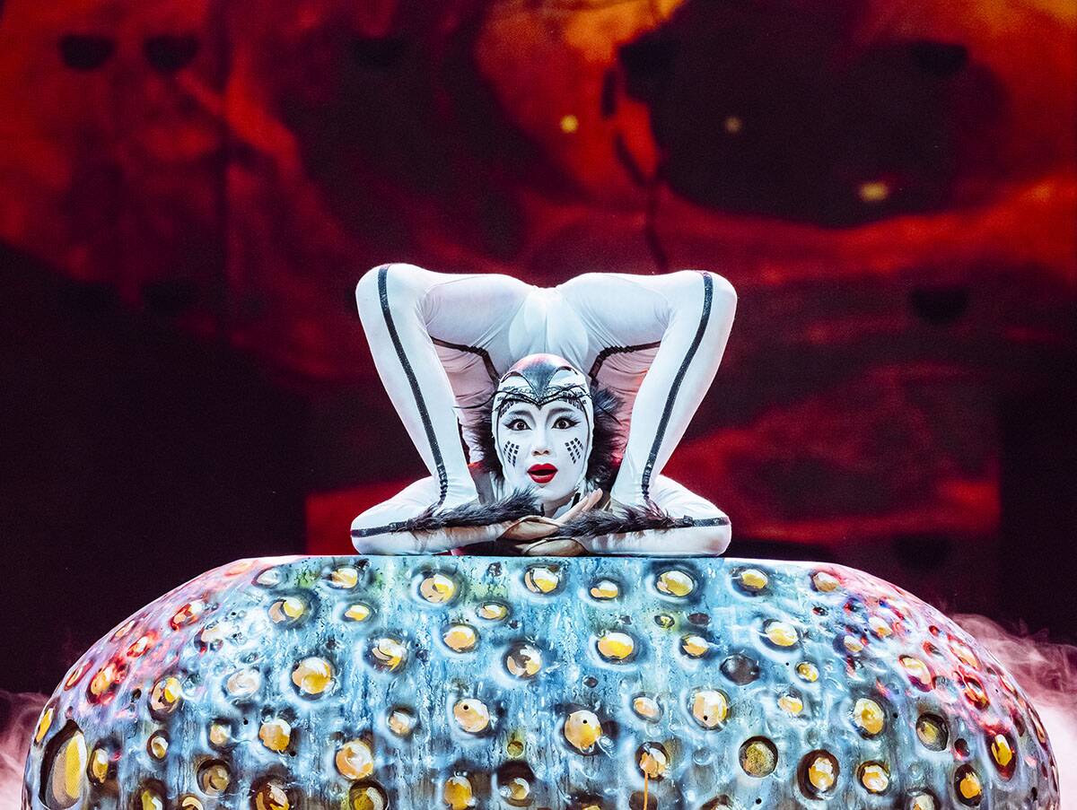 Cirque De Soleil (12).jpg