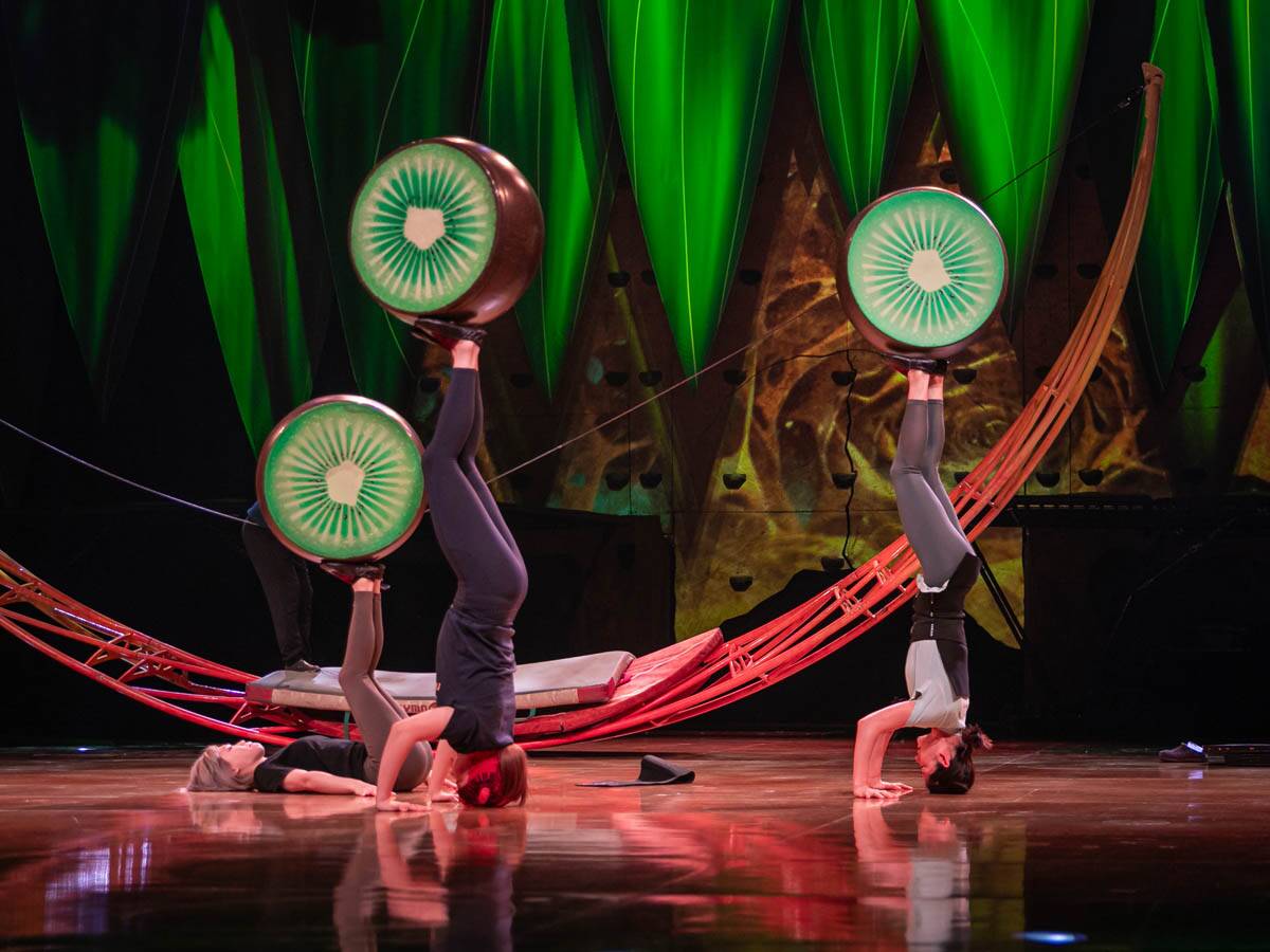 cirque_du_soleil_stefan_stojanović_ (39).jpg