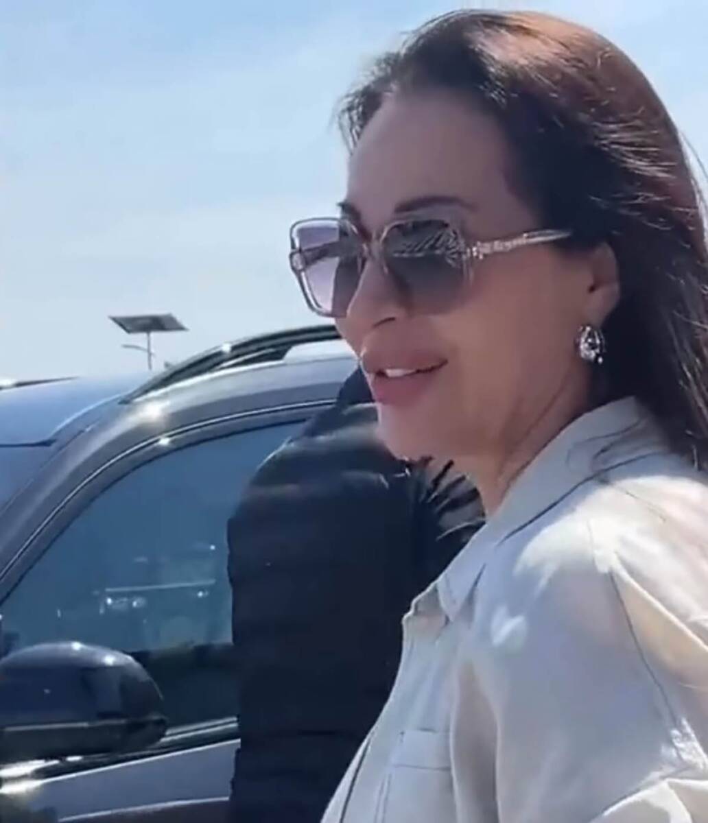 Ceci kasnio vozač na aerodromu Ražnatovićka odmah reagovala (2).jpg