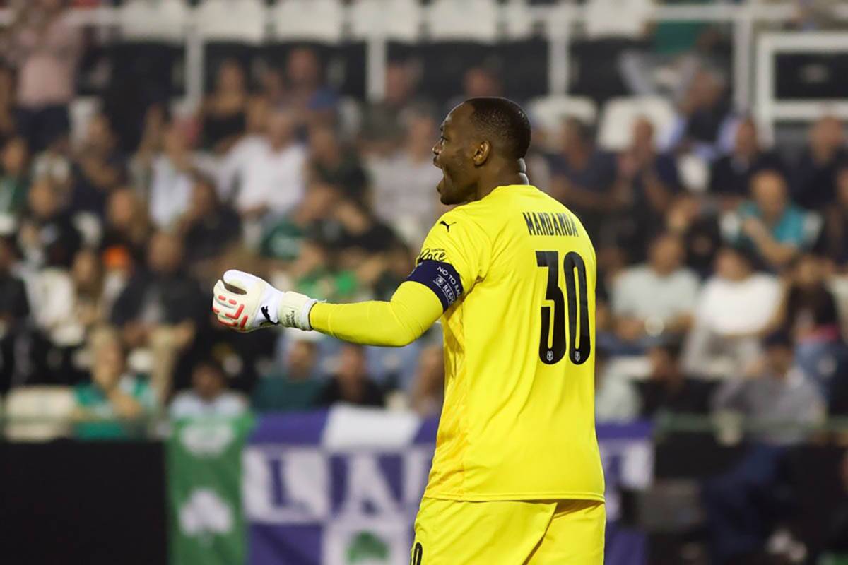 Steve Mandanda (4).jpg
