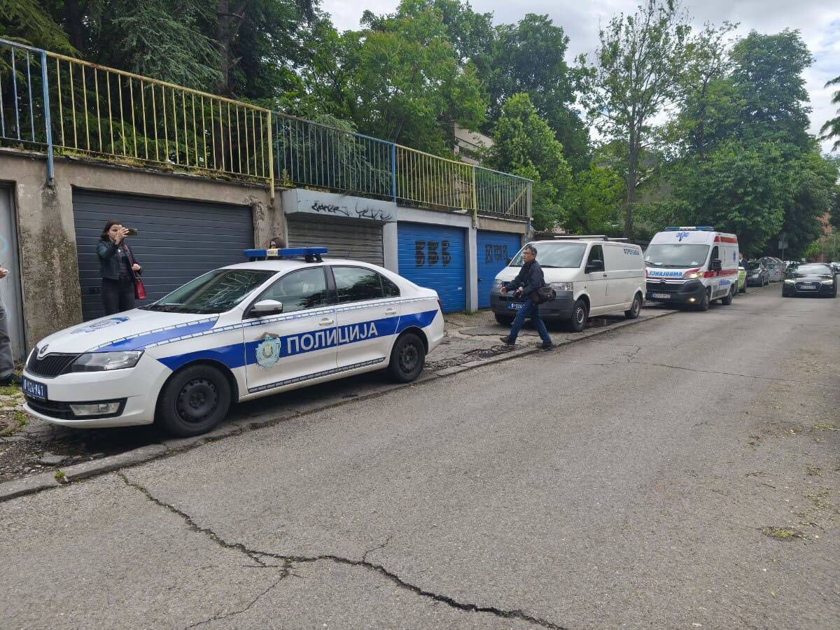 Ubistvo Nikolaja Gogolja Banovo brdo (1).jpg