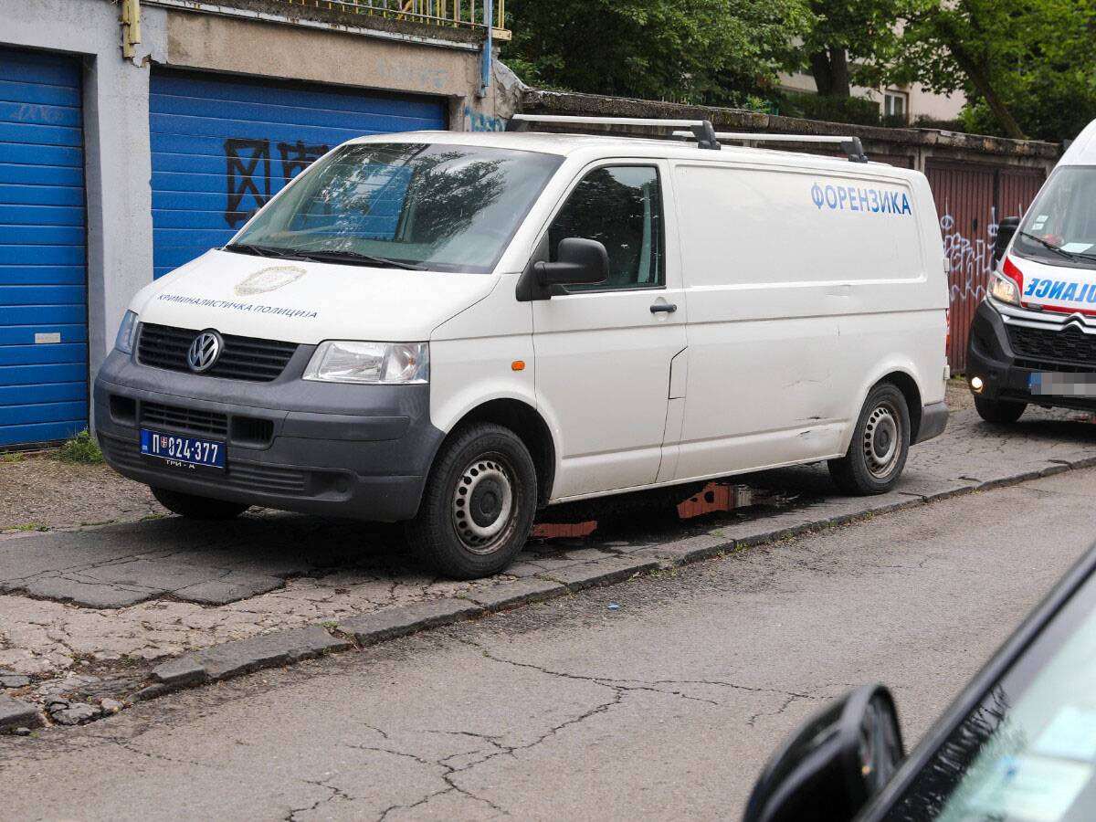 Ubistvo Nikolaja Gogolja Banovo brdo (7).jpg