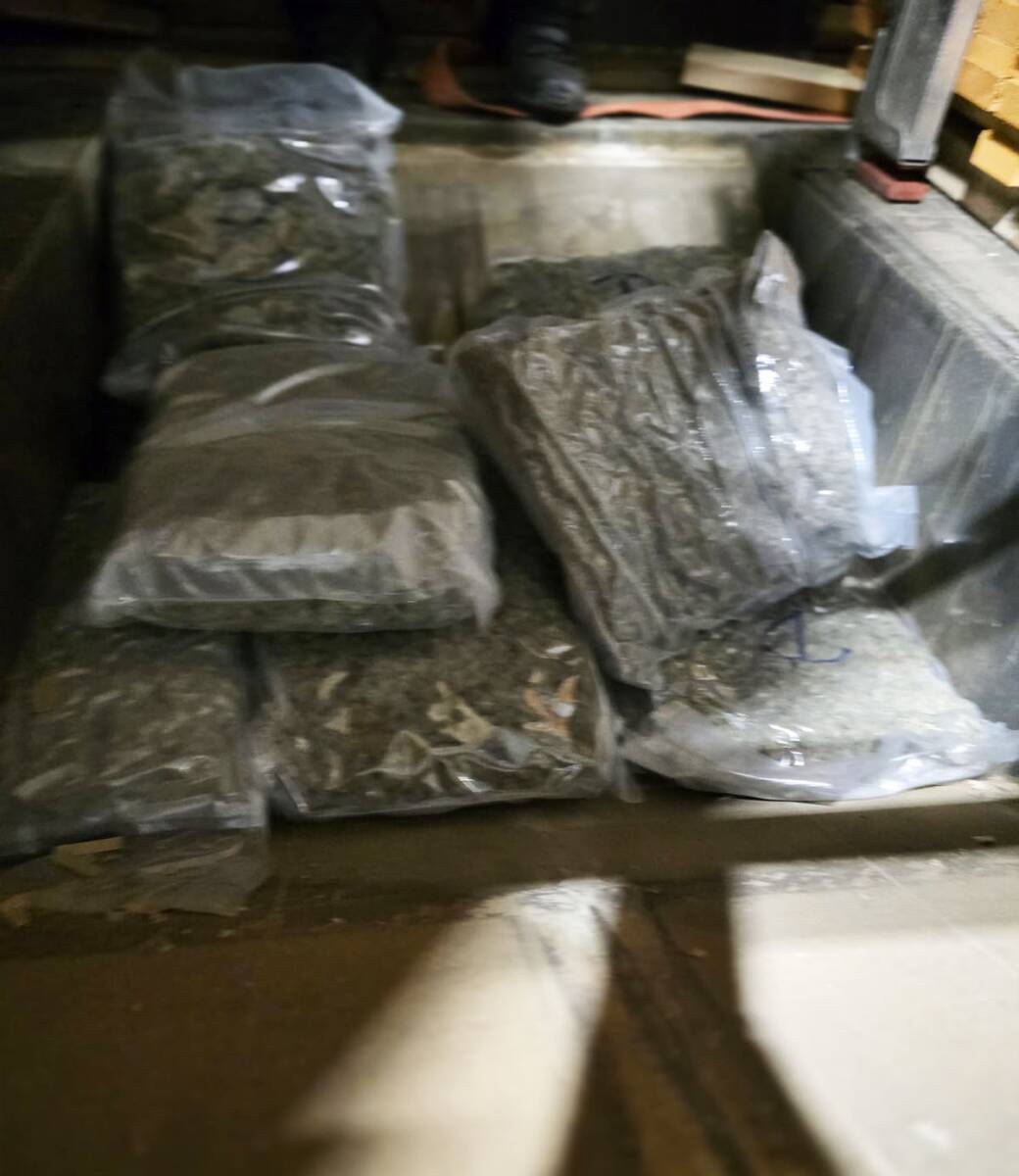 Zaplenjena marihuana (4).jpg