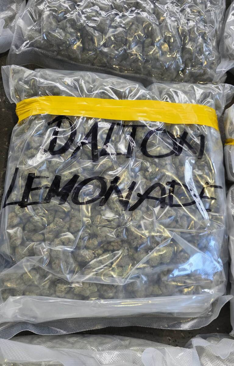 Zaplenjena marihuana (9).jpg