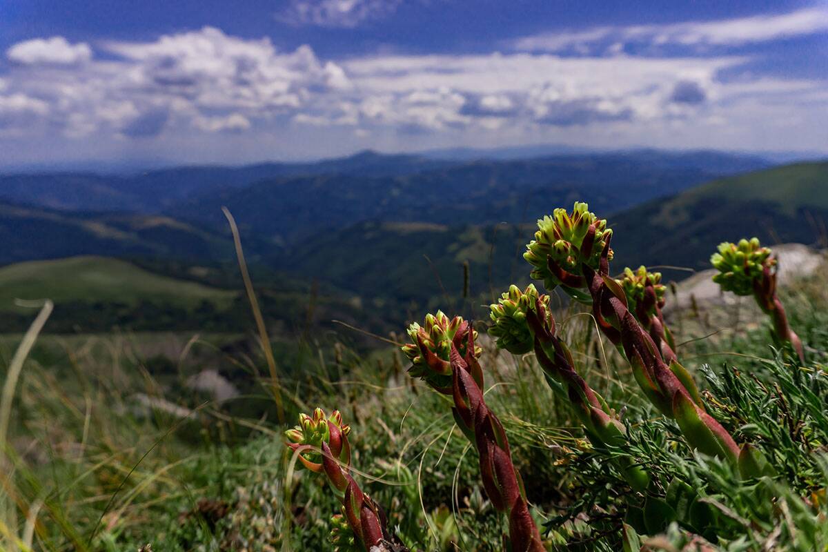 planina Dukat.jpg