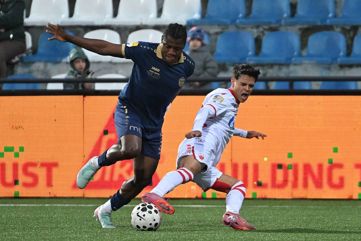 Crvena zvezda - Radnik Surdulica
