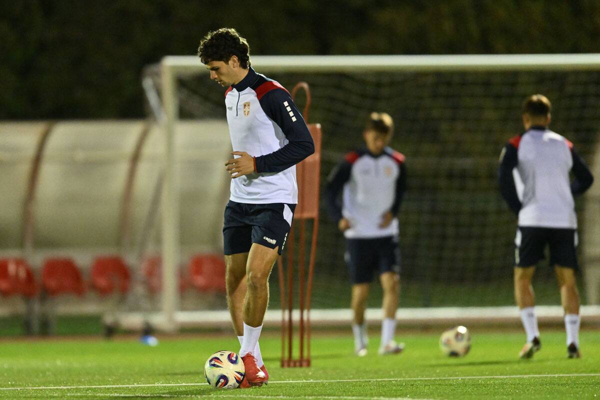Mirko Milikić (2).jpg