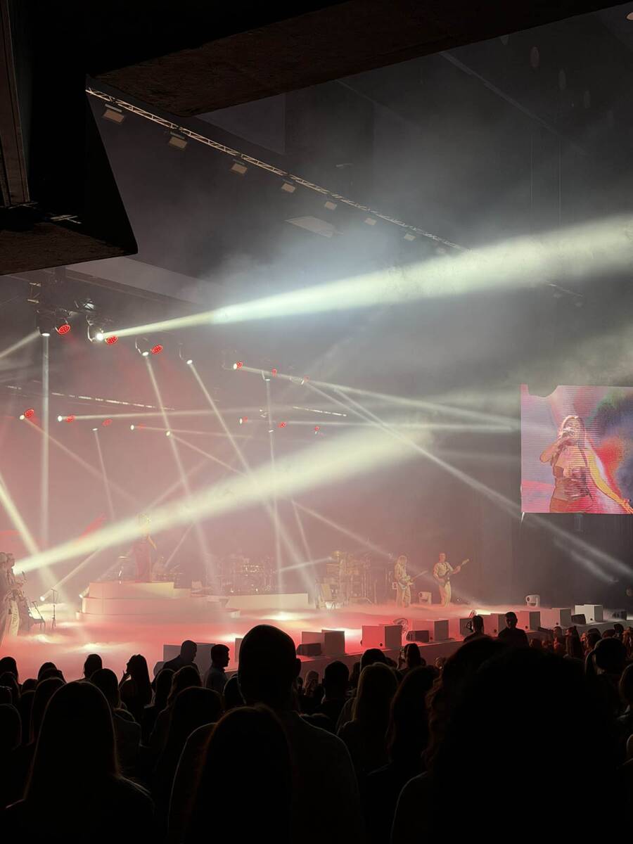 Senidah koncert (6).jpg