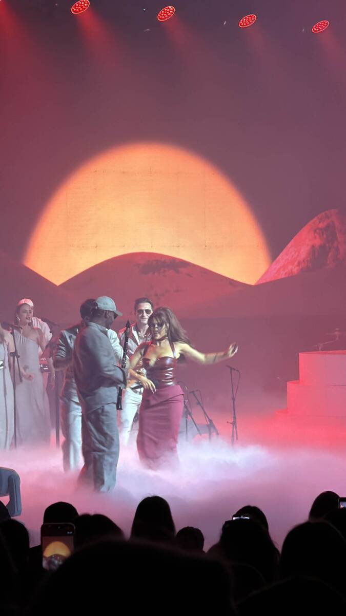 Senidah koncert (7).jpg