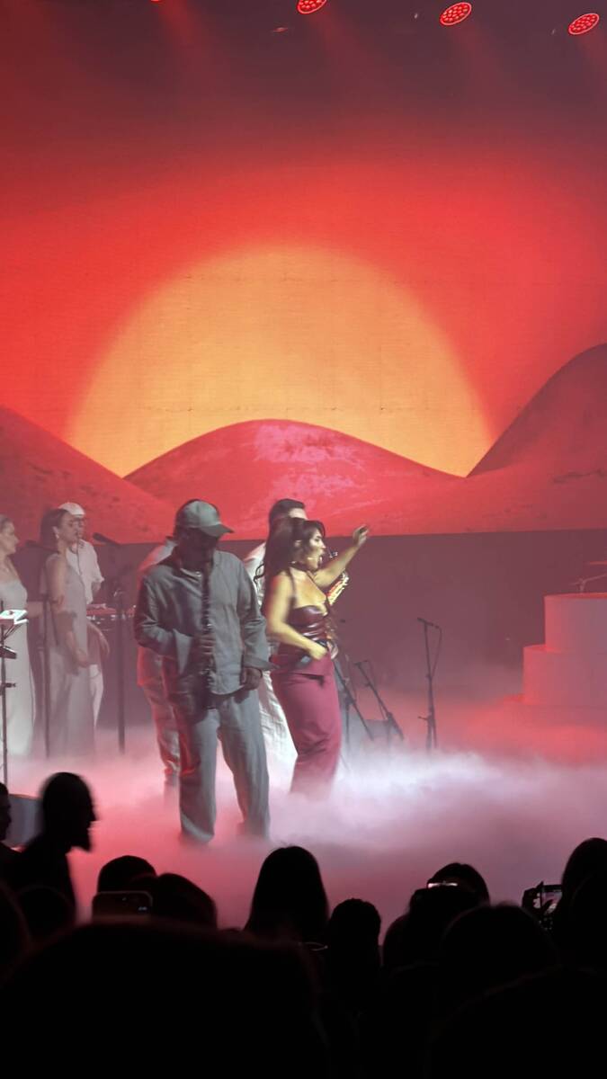 Senidah koncert (8).jpg